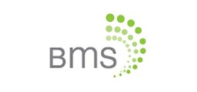 Bankruptcy Management Solutions, Inc.